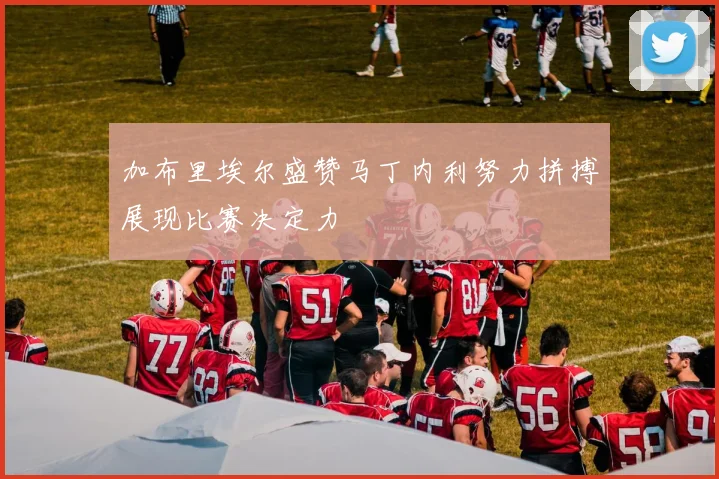 加布里埃尔盛赞马丁内利努力拼搏展现比赛决定力